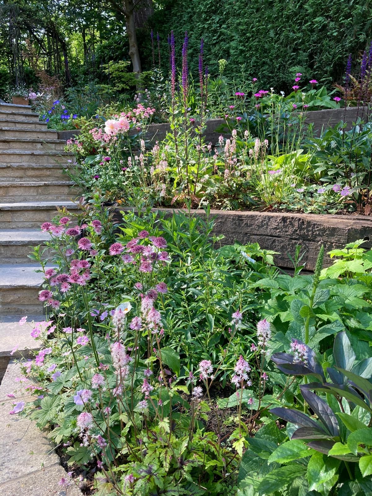 Camberley, Surrey garden design