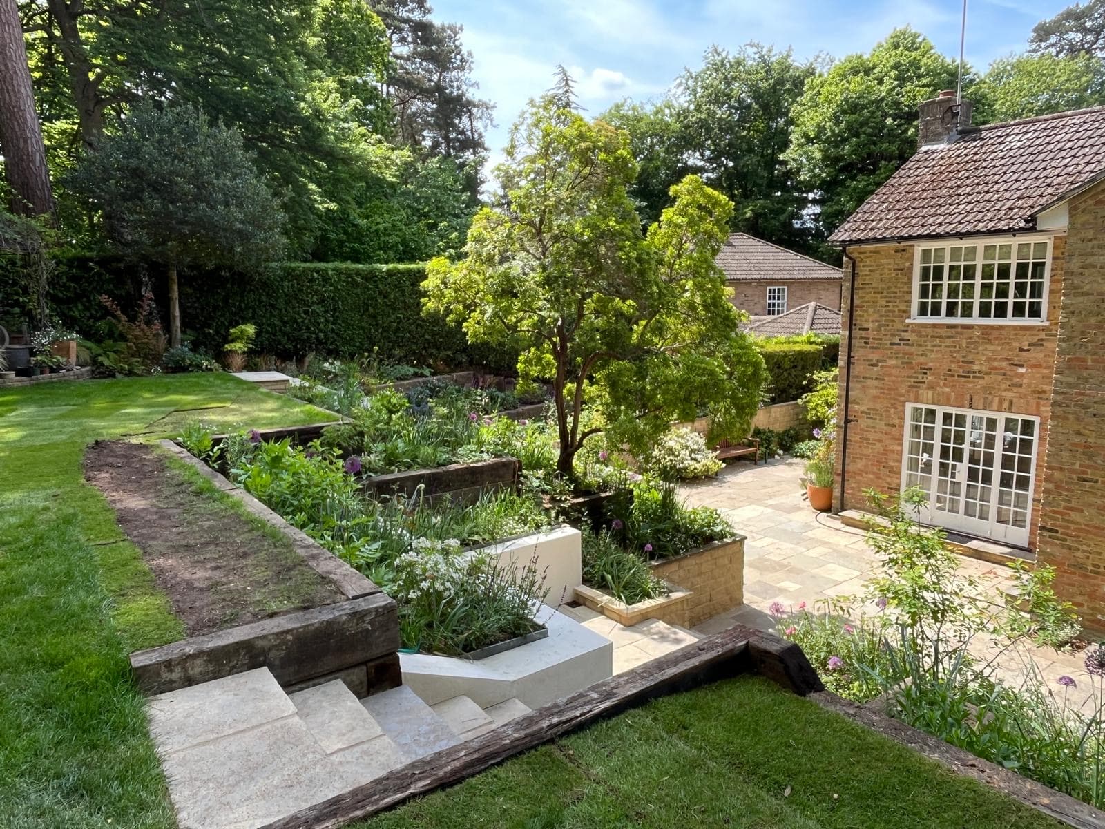 Camberley, Surrey garden design