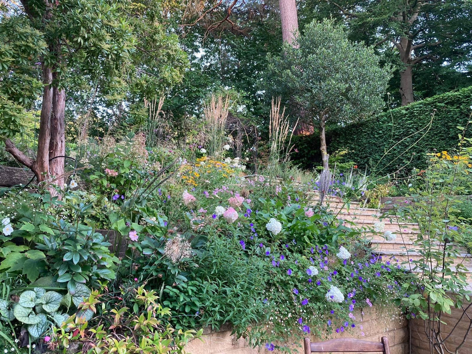 Camberley, Surrey garden design