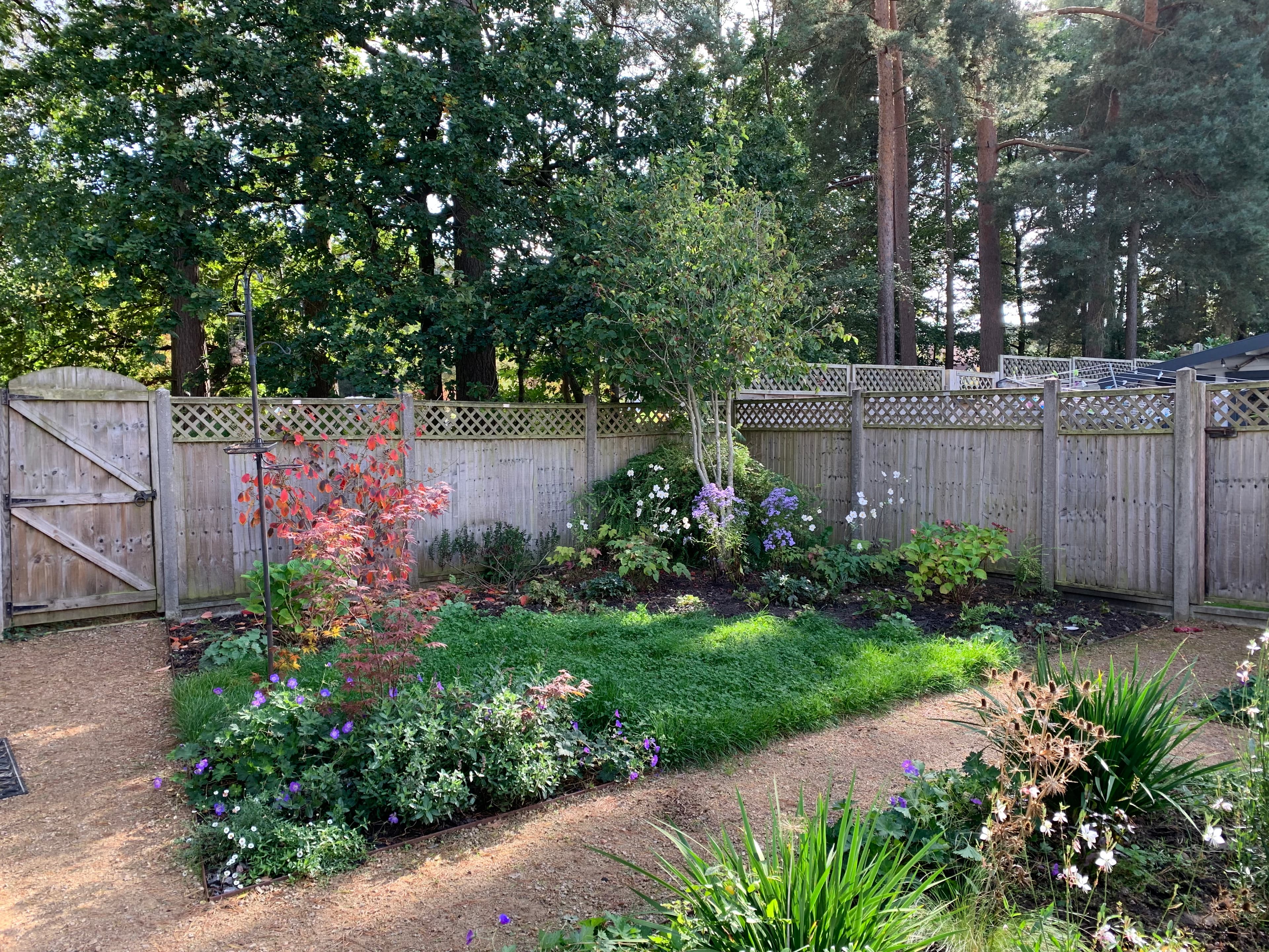 Camberley, Surrey garden design