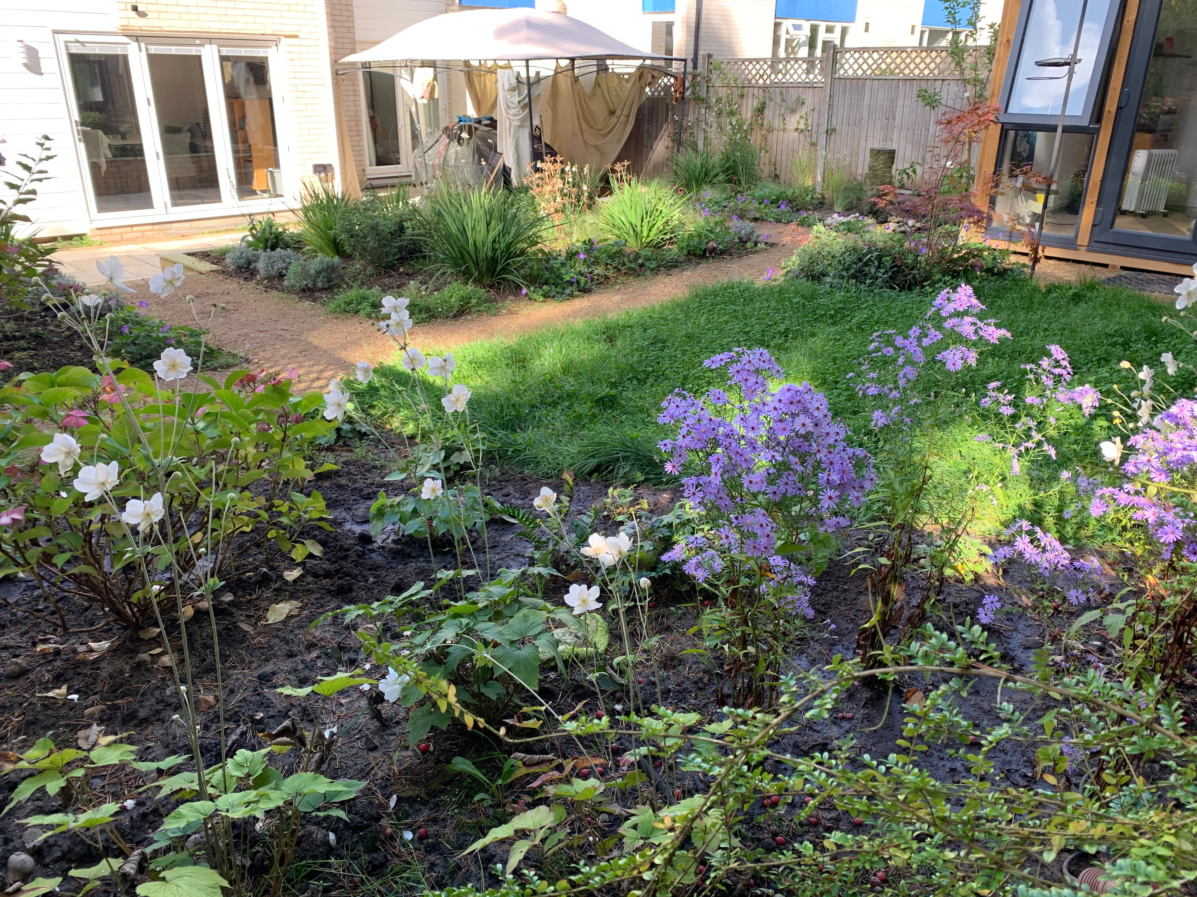 Camberley, Surrey garden design