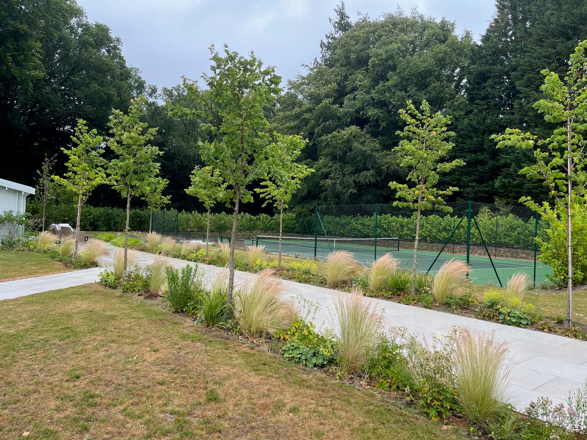 Haslemere, Surrey garden design