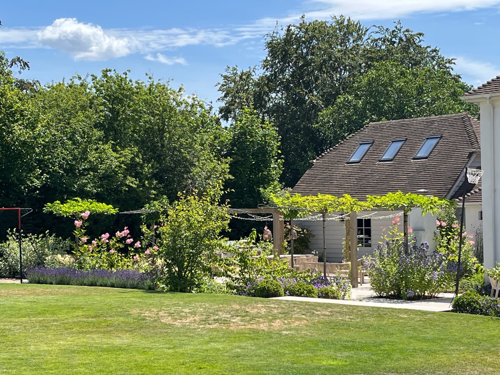 Hook, Hampshire garden design
