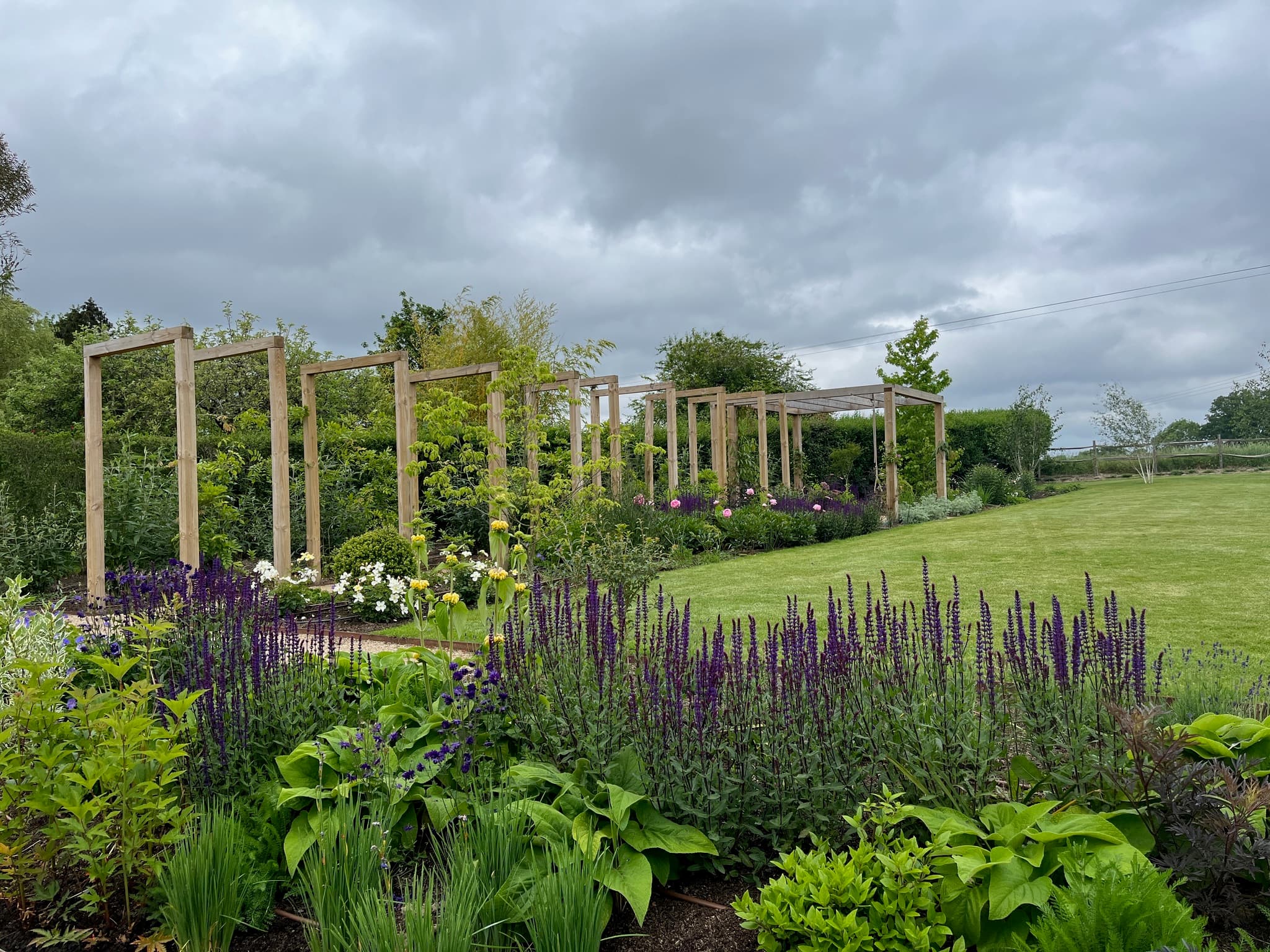 Hook, Hampshire garden design