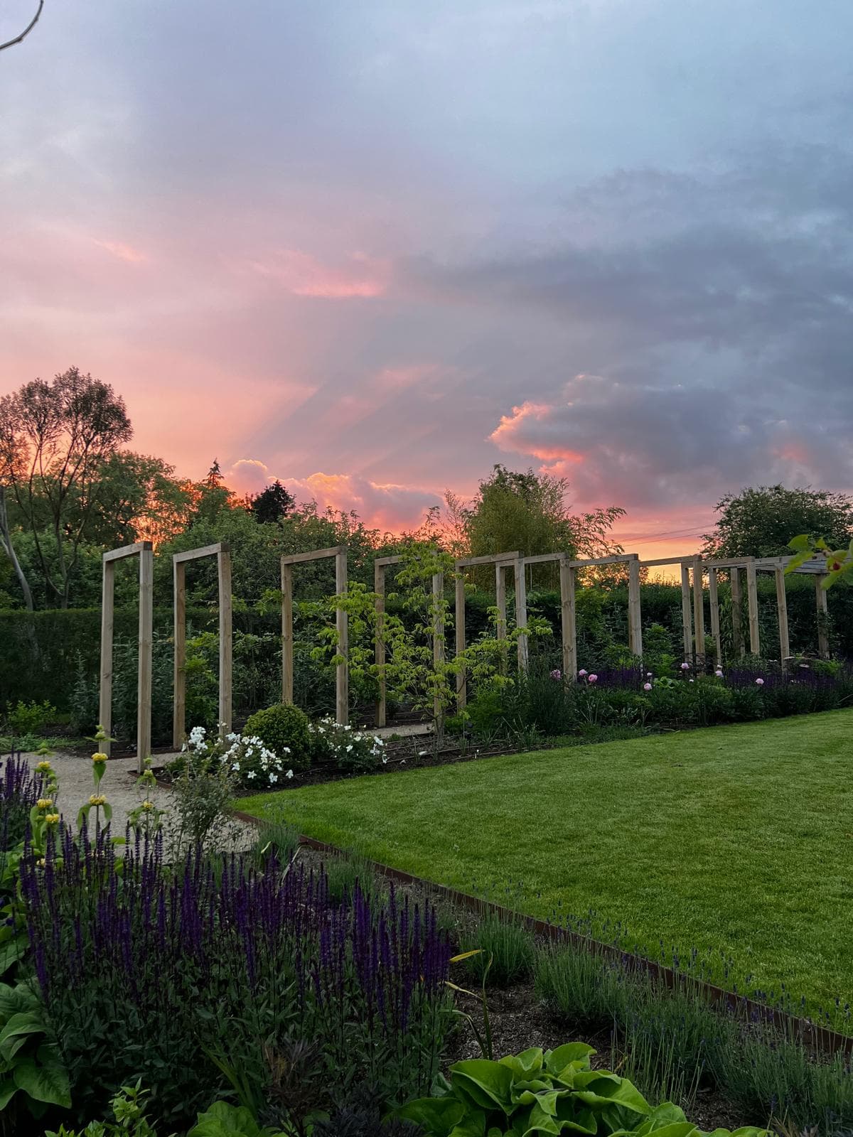 Hook, Hampshire garden design