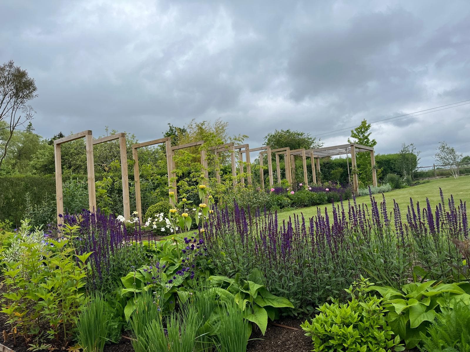 Hook, Hampshire garden design