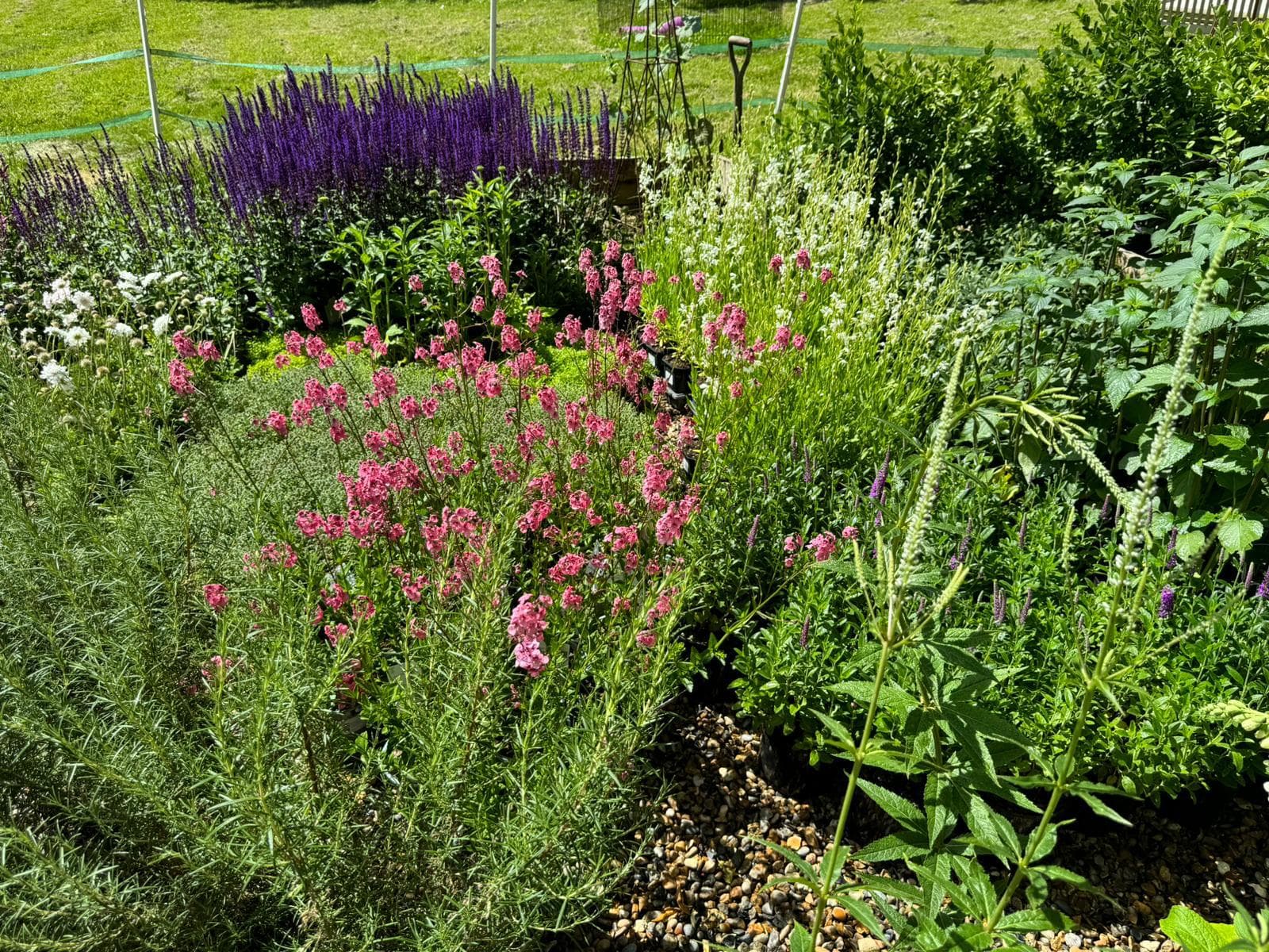 St. Albans, Hertfordshire garden design
