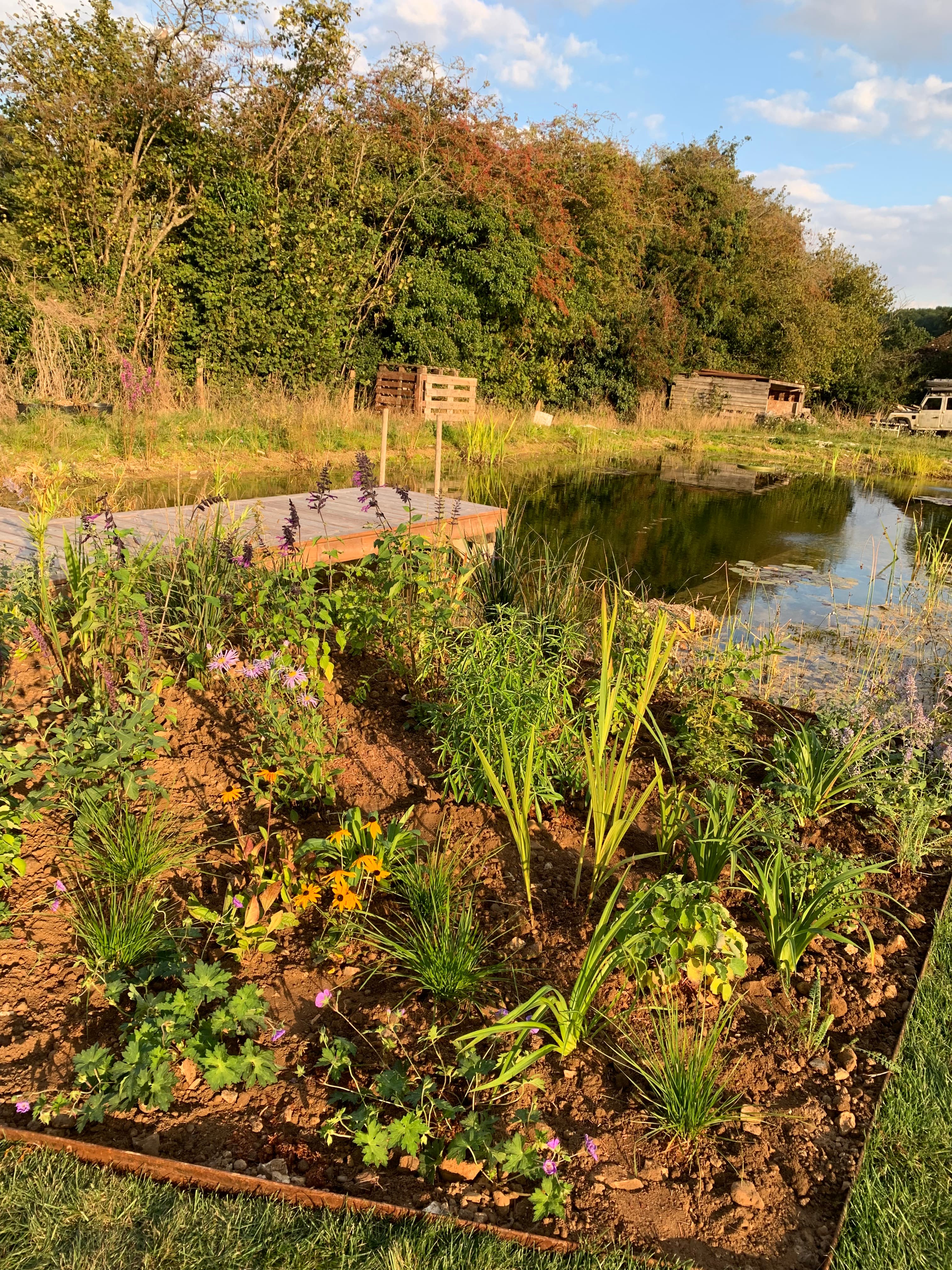St. Albans, Hertfordshire garden design