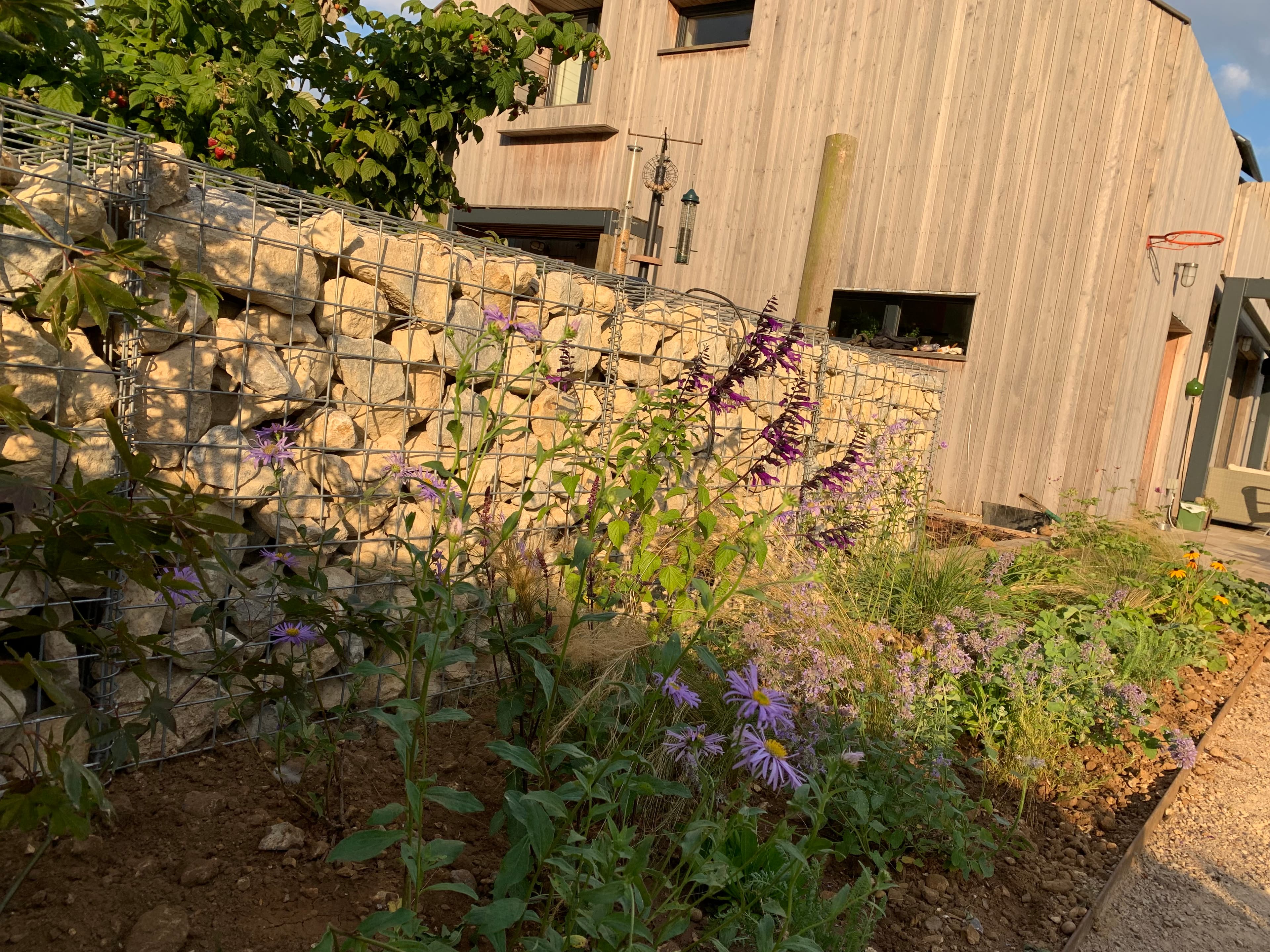 St. Albans, Hertfordshire garden design