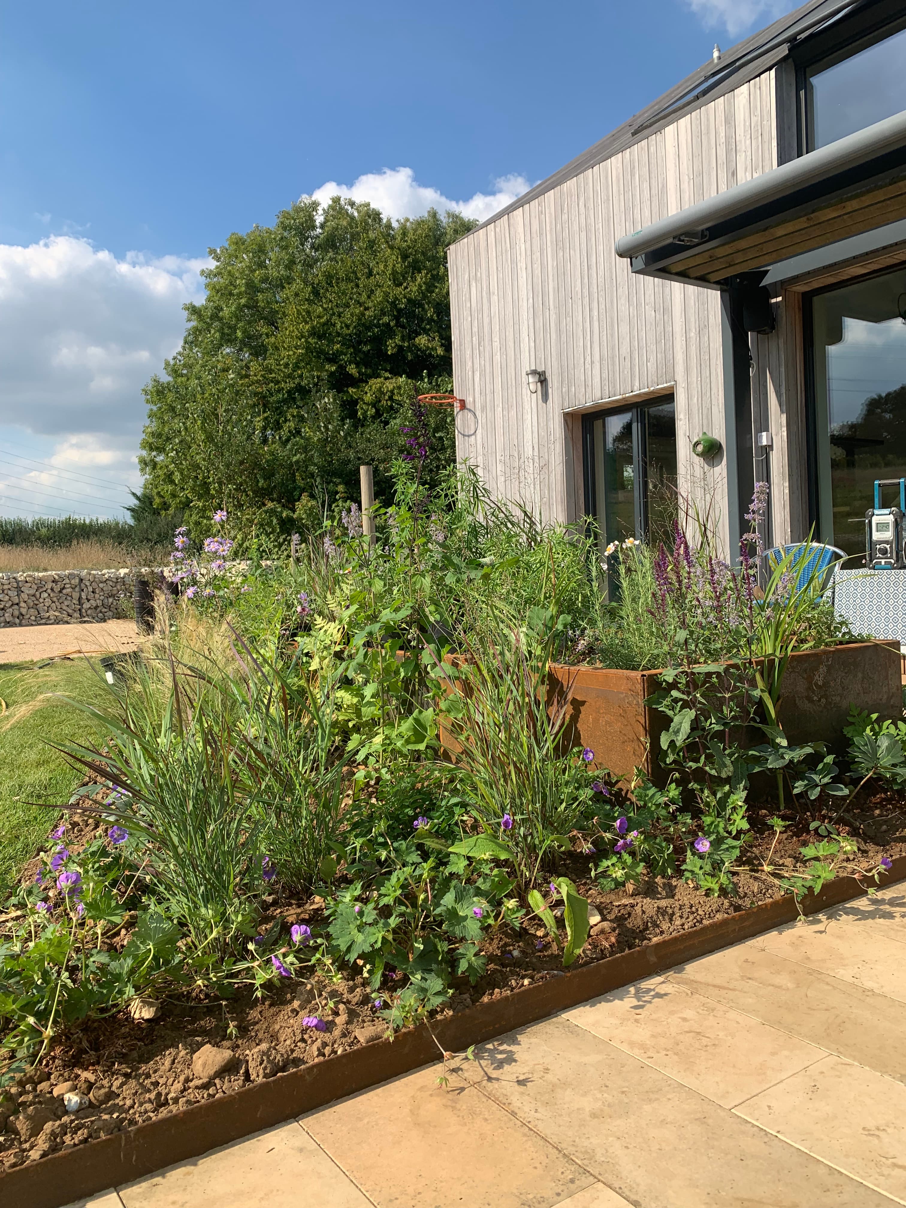 St. Albans, Hertfordshire garden design