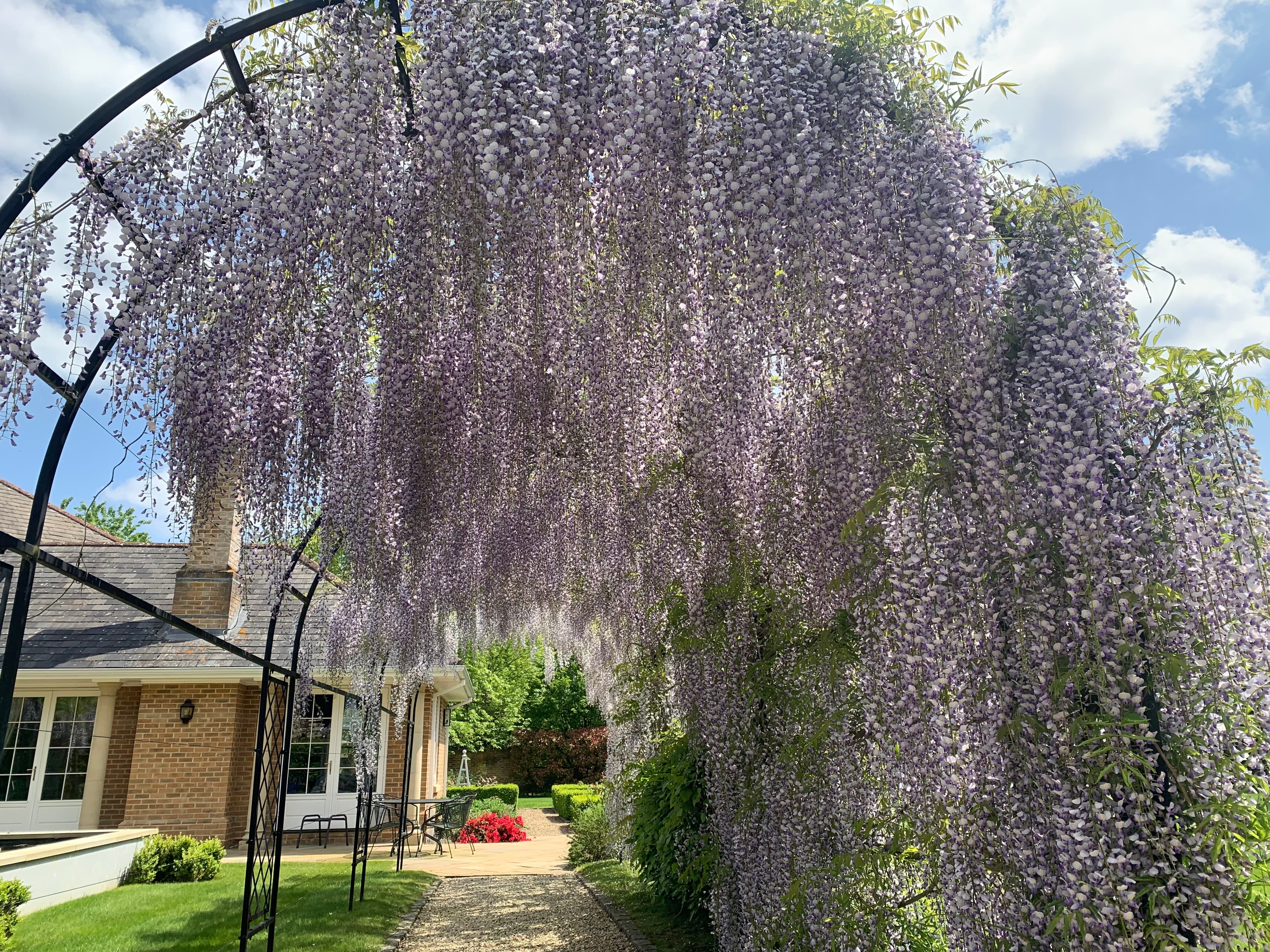 Winkfield, Berkshire garden design