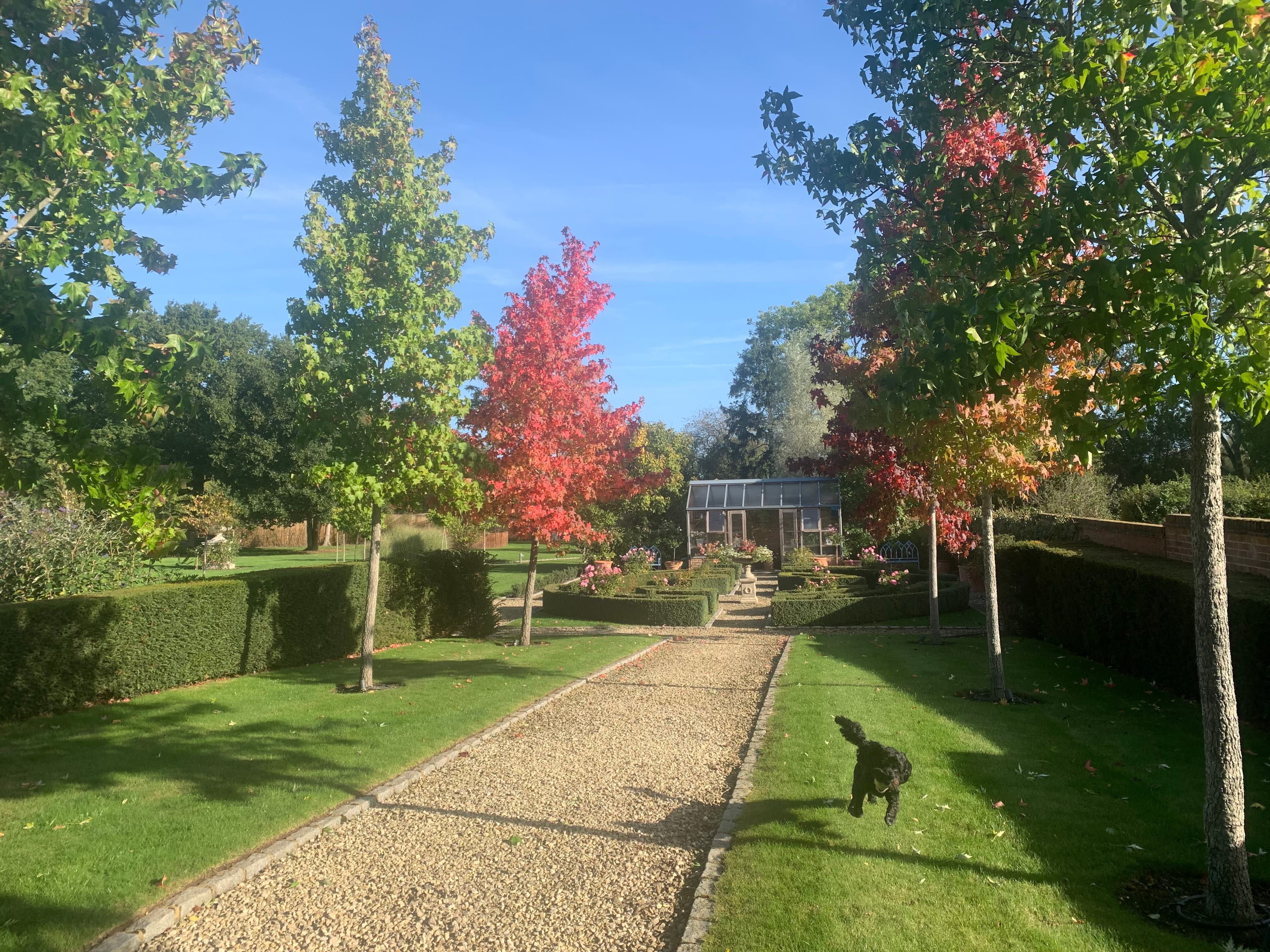 Winkfield, Berkshire garden design